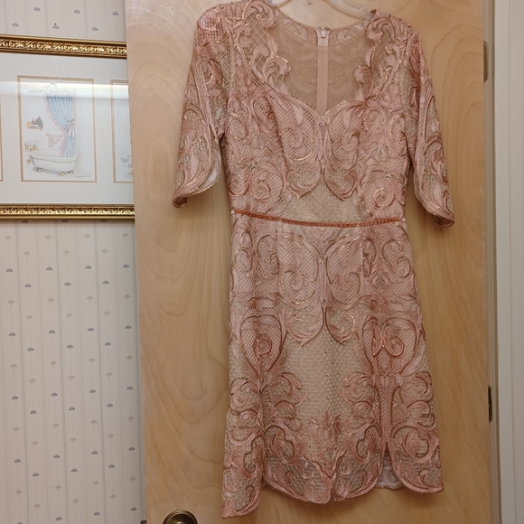 Marchesa Notte Blush Pink Lace Embroidered Dress New Tags Sz 6 - Picture 16 of 16